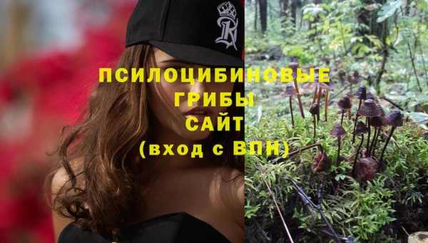 MDMA Premium VHQ Дмитровск