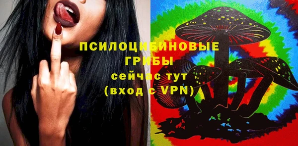PSILOCYBIN Осинники