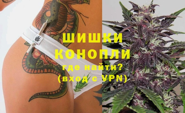 индика Переславль-Залесский