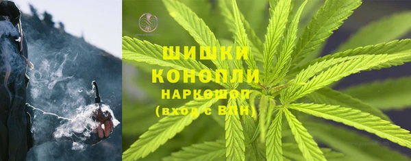 индика Переславль-Залесский